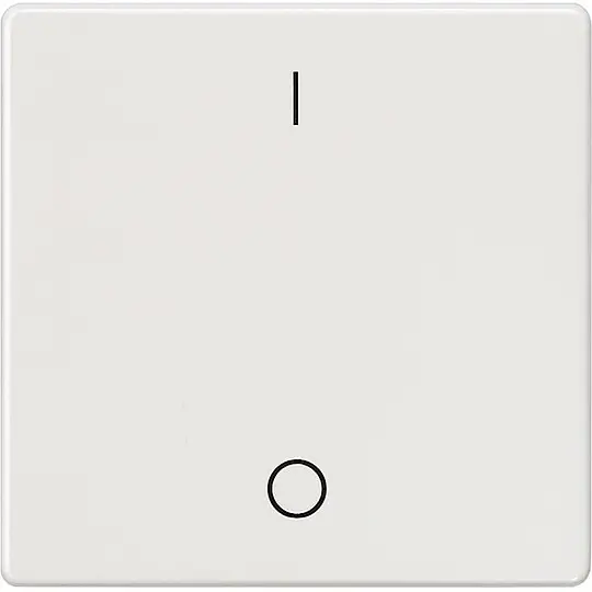Wippe m. Symbolen I/0 elektroweiß/ 55 mm x 55 mm Schutzart IP20 Jetzt Bestellen