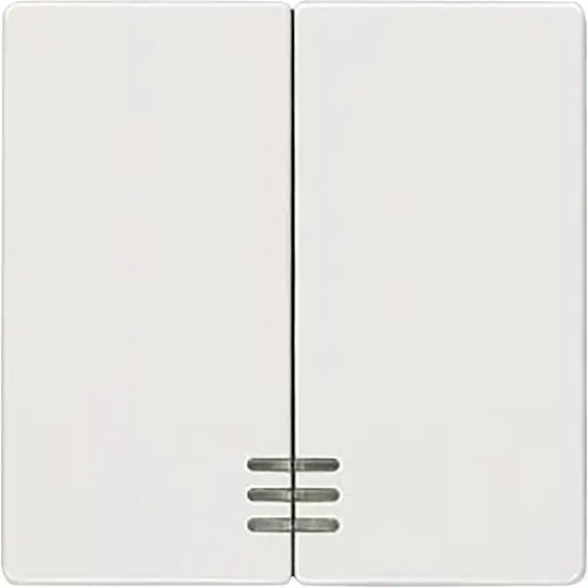 Angebot Doppelkontrollwippe Siemens 5TG6204, titanweiß