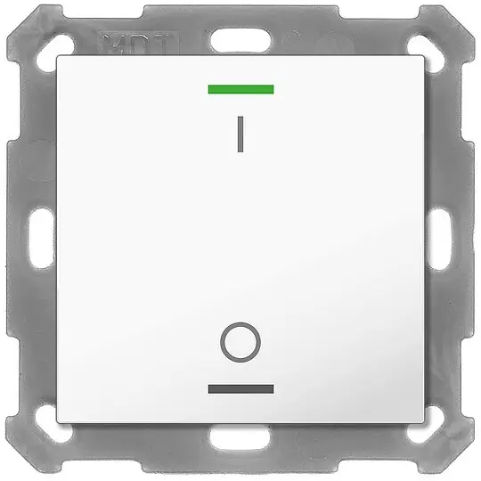 Top-Seller Taster Light 55 ohne Temperatursenor 1-fach, RGBW, Reinweiß glänzend, Schalten