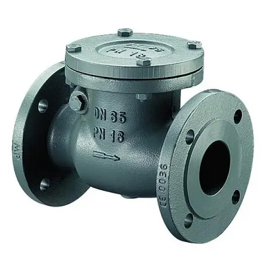 BOSCH Installationszubehör RK16-65, Rückschlagklappe PN 16 DN 65 - 7736602678 Markenware