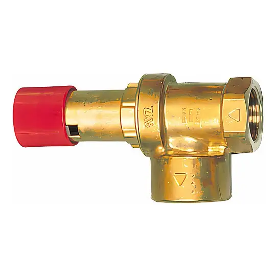 BOSCH Membran-Sicherheitsventil R 1 - 7719000284 Top-Preis