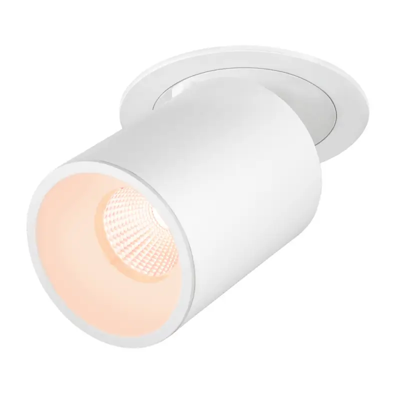 Solange Der Vorrat Reicht SLV NUMINOS® PROJECTOR L, Deckeneinbauleuchte, 2700 K, 55°, zylindrisch, weiß / weiß