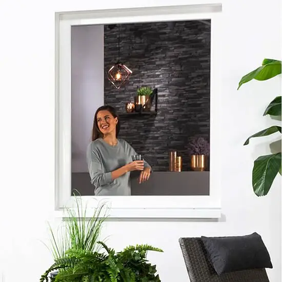 Magnetfenster Deluxe Begrenztes Angebot