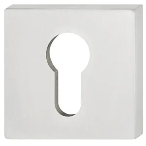 FSB Schlüsselrosette ASL® 12 1704, mit Nocken, Edelstahl Angebot