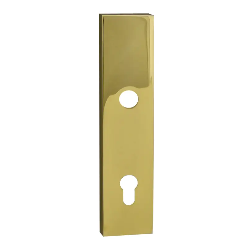 Begrenztes Angebot Sicherheitstürschild Außen Dist. 72 mm PZ, Messing glänzend LxBxT: 245 x 54 x 12 mm der Serie TS105