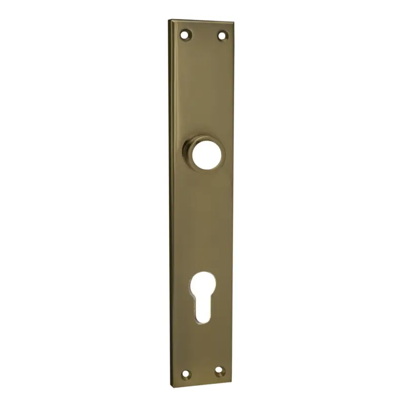 Haustürschild Dist. 92 mm PZ, Messing patiniert &geputzt L x B: 240 x 40 mm Serie TS041 Geprüft